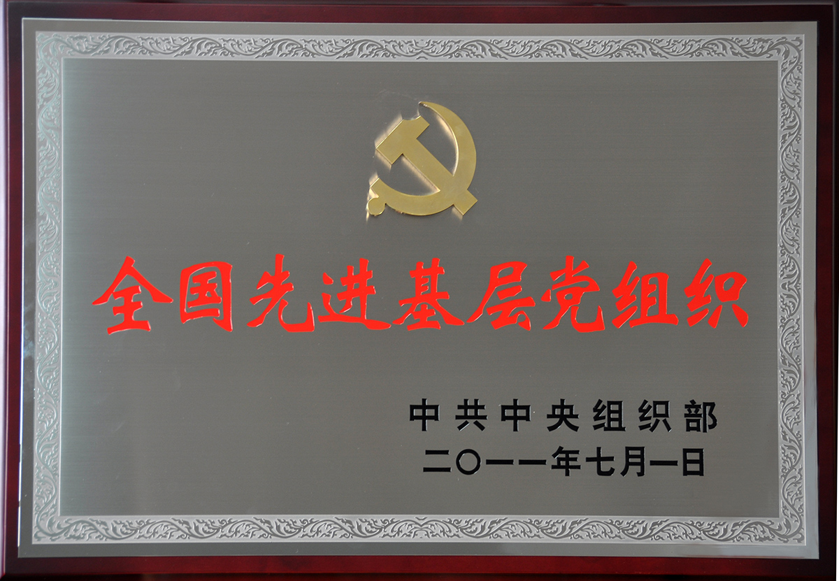 2011年7月，紅豆集團黨委榮獲“全國先進基層黨組織”稱號