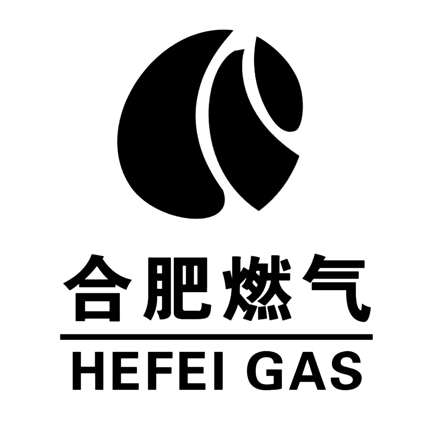 合肥燃?xì)?/>
                                </div>
                                <div   id=